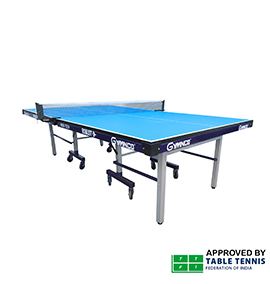 Table Tennis for Home Use in India